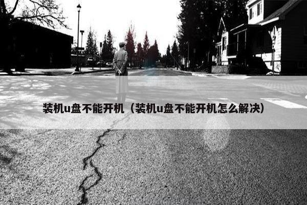 装机u盘不能开机（装机u盘不能开机怎么解决）