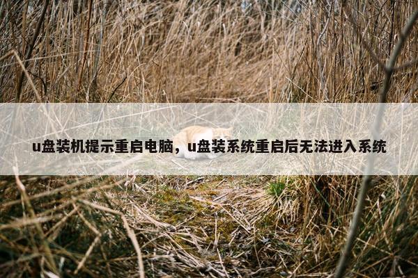 u盘装机提示重启电脑，u盘装系统重启后无法进入系统
