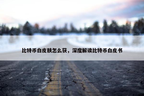 比特币白皮肤怎么获，深度解读比特币白皮书
