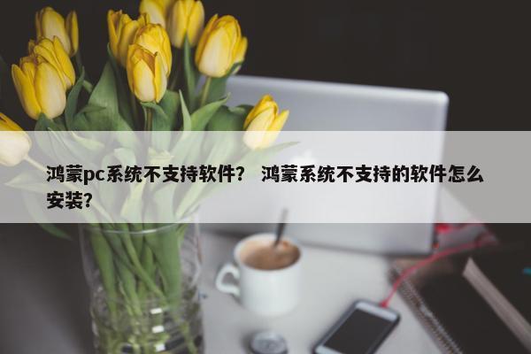鸿蒙pc系统不支持软件？ 鸿蒙系统不支持的软件怎么安装？