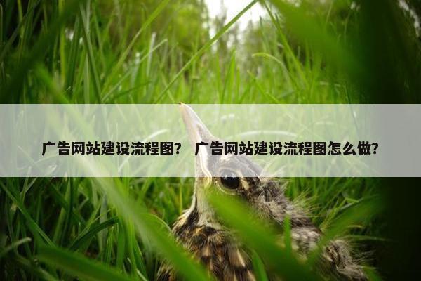 广告网站建设流程图？ 广告网站建设流程图怎么做？