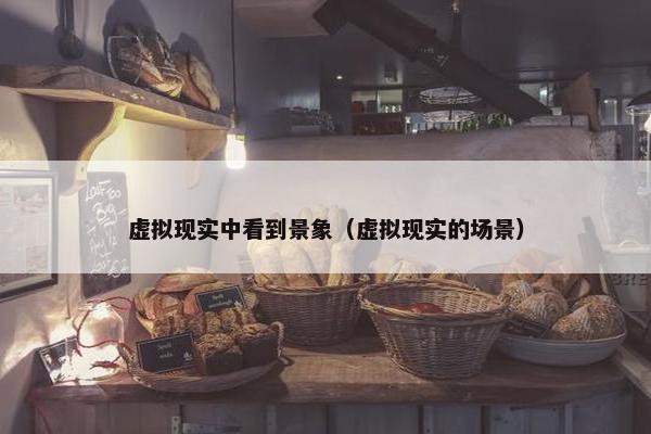虚拟现实中看到景象（虚拟现实的场景）