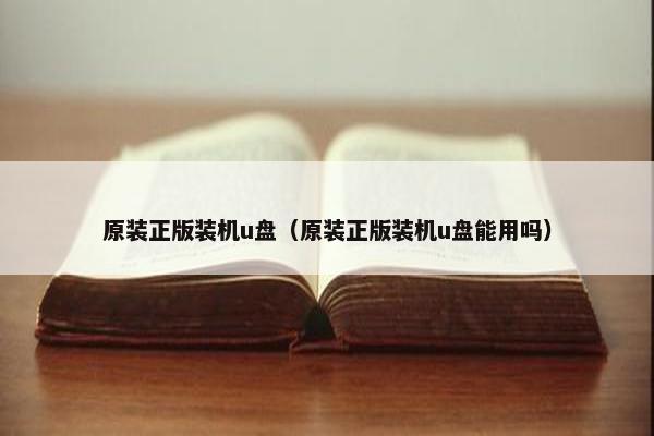原装正版装机u盘（原装正版装机u盘能用吗）