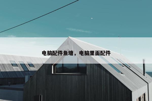 电脑配件鱼塘，电脑里面配件