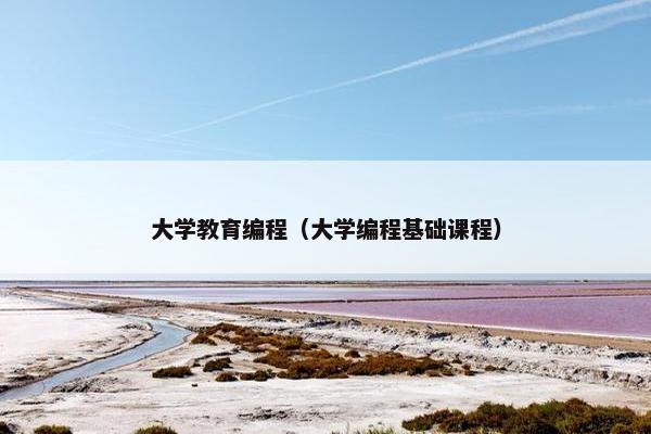 大学教育编程（大学编程基础课程）