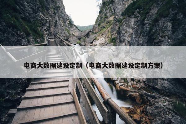 电商大数据建设定制（电商大数据建设定制方案）