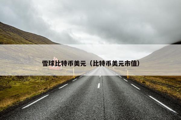 雪球比特币美元（比特币美元市值）