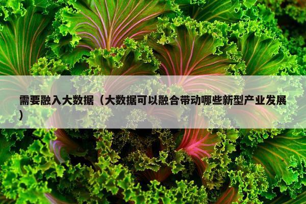 需要融入大数据（大数据可以融合带动哪些新型产业发展）