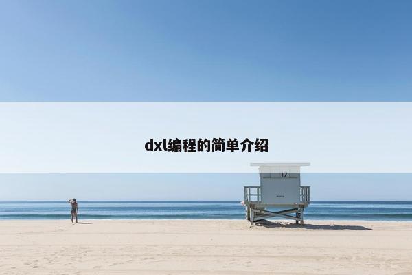 dxl编程的简单介绍