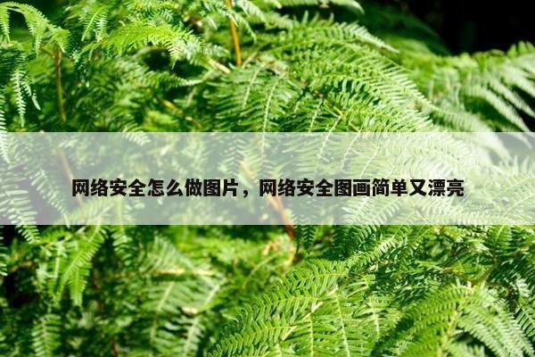 网络安全怎么做图片，网络安全图画简单又漂亮