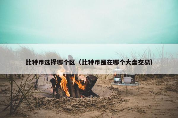 比特币选择哪个区（比特币是在哪个大盘交易）