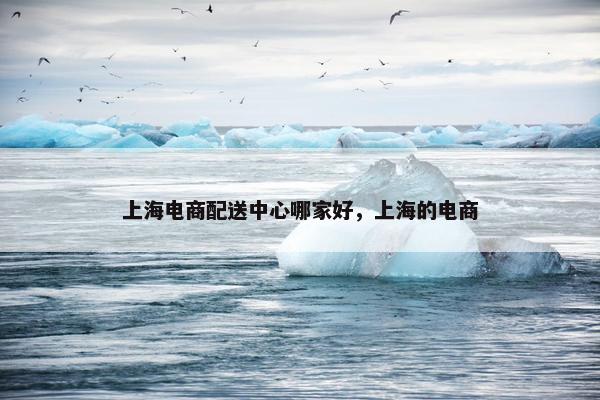 上海电商配送中心哪家好，上海的电商