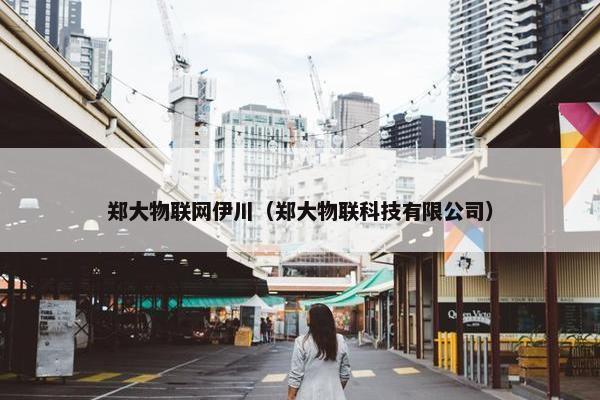 郑大物联网伊川（郑大物联科技有限公司）