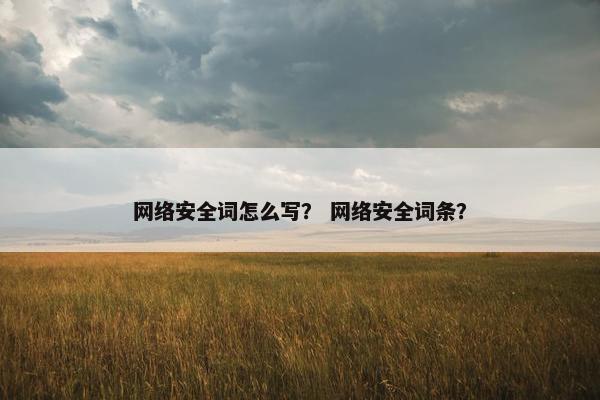 网络安全词怎么写？ 网络安全词条？