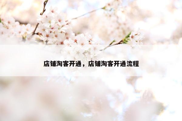店铺淘客开通，店铺淘客开通流程
