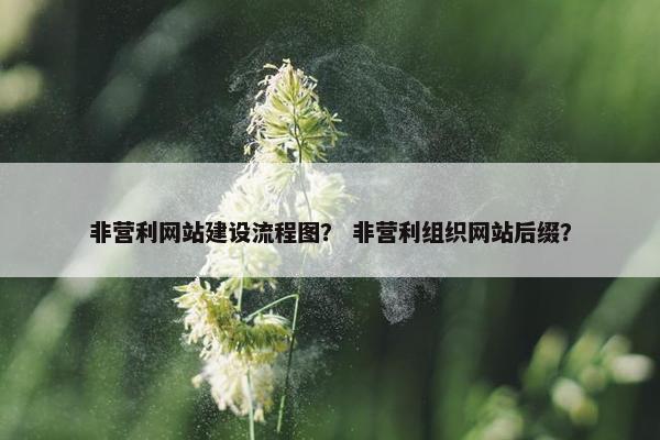 非营利网站建设流程图？ 非营利组织网站后缀？