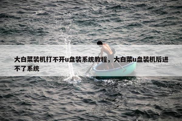 大白菜装机打不开u盘装系统教程，大白菜u盘装机后进不了系统