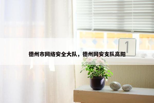 德州市网络安全大队，德州网安支队高阳