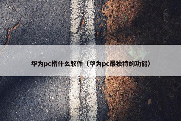 华为pc指什么软件（华为pc最独特的功能）