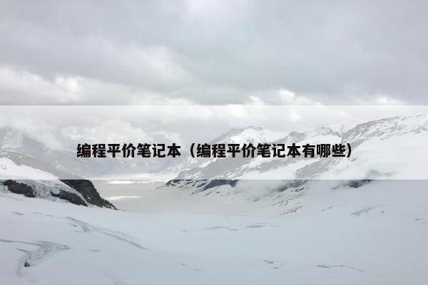 编程平价笔记本（编程平价笔记本有哪些）