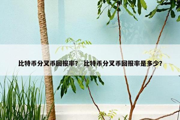 比特币分叉币回报率？ 比特币分叉币回报率是多少？