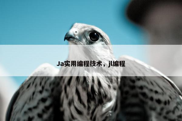 Ja实用编程技术，jl编程