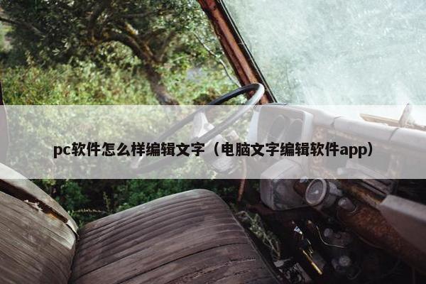 pc软件怎么样编辑文字（电脑文字编辑软件app）