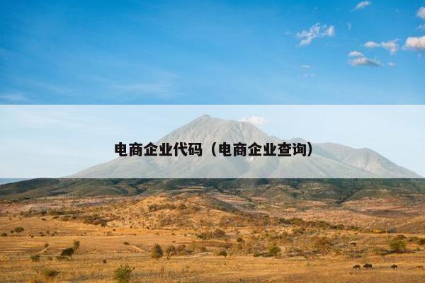 电商企业代码（电商企业查询）