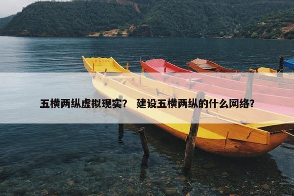 五横两纵虚拟现实？ 建设五横两纵的什么网络？