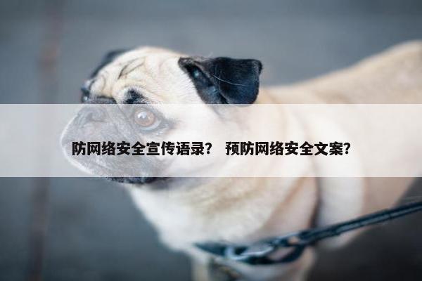 防网络安全宣传语录？ 预防网络安全文案？