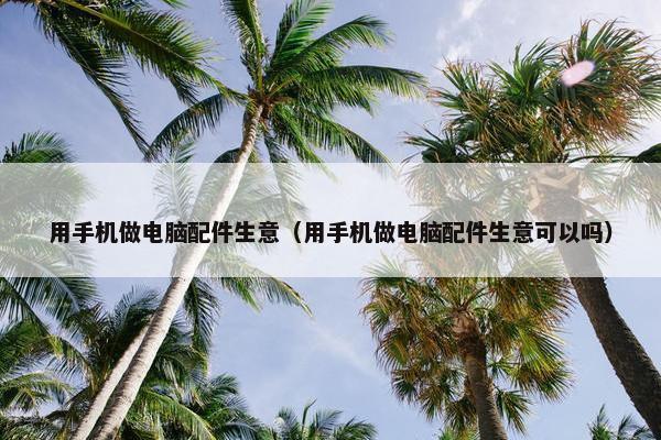 用手机做电脑配件生意（用手机做电脑配件生意可以吗）