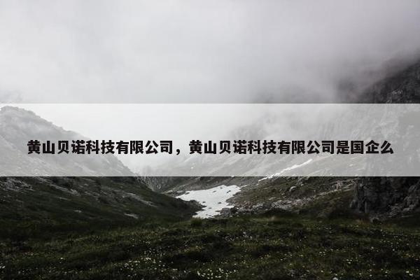 黄山贝诺科技有限公司，黄山贝诺科技有限公司是国企么