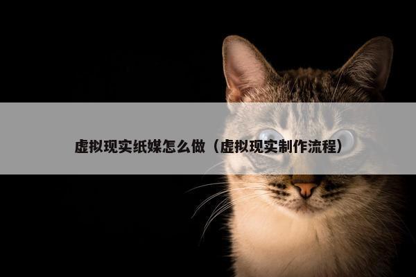 虚拟现实纸媒怎么做（虚拟现实制作流程）