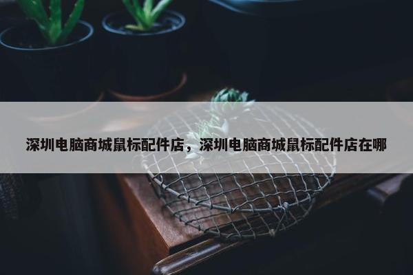 深圳电脑商城鼠标配件店，深圳电脑商城鼠标配件店在哪
