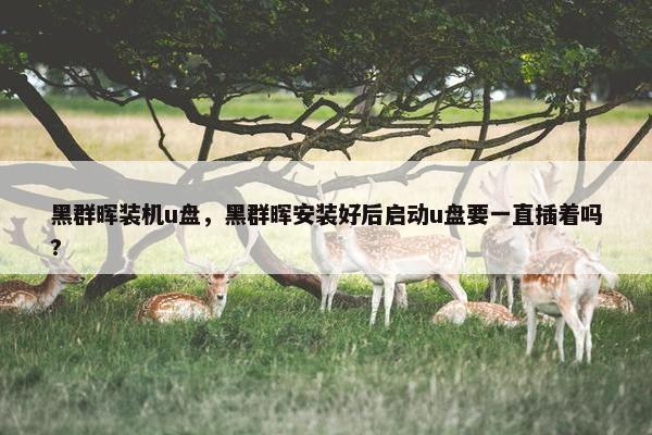 黑群晖装机u盘，黑群晖安装好后启动u盘要一直插着吗?