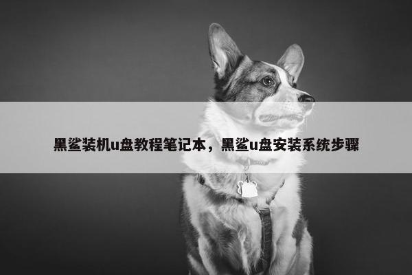 黑鲨装机u盘教程笔记本，黑鲨u盘安装系统步骤