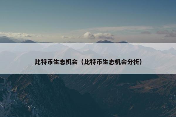 比特币生态机会（比特币生态机会分析）