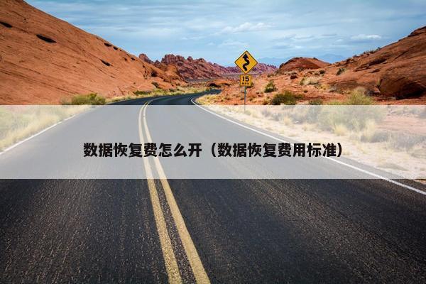 数据恢复费怎么开（数据恢复费用标准）