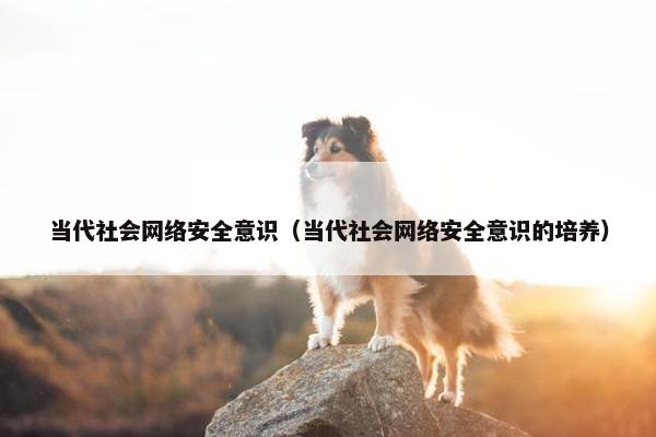 当代社会网络安全意识（当代社会网络安全意识的培养）