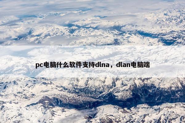 pc电脑什么软件支持dlna，dlan电脑端
