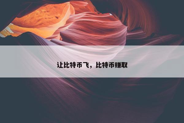 让比特币飞，比特币赚取