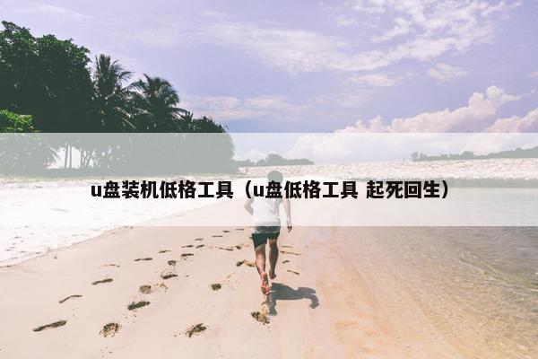 u盘装机低格工具（u盘低格工具 起死回生）