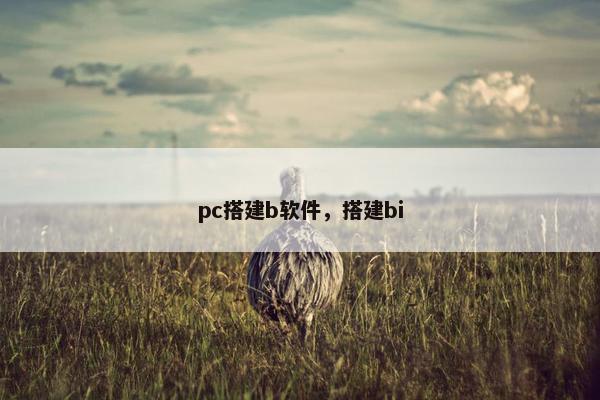 pc搭建b软件，搭建bi