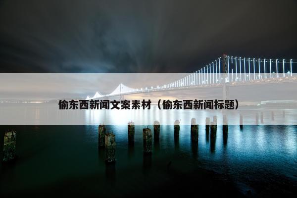 偷东西新闻文案素材（偷东西新闻标题）
