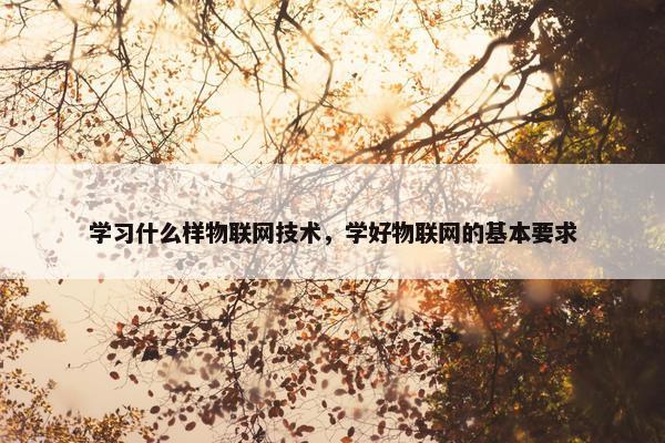 学习什么样物联网技术，学好物联网的基本要求
