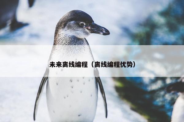 未来离线编程（离线编程优势）