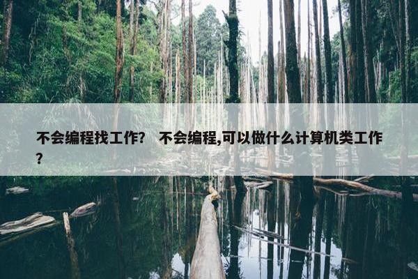 不会编程找工作？ 不会编程,可以做什么计算机类工作？