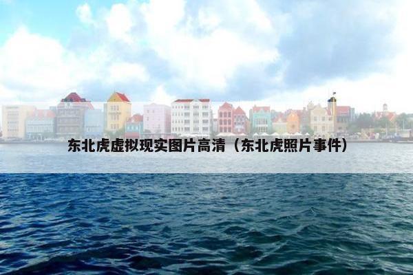 东北虎虚拟现实图片高清（东北虎照片事件）