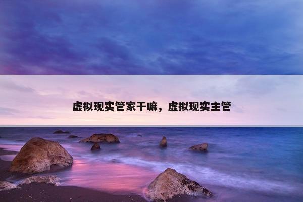 虚拟现实管家干嘛，虚拟现实主管