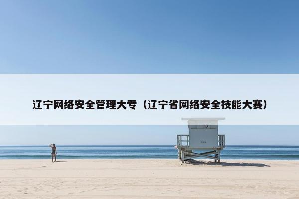 辽宁网络安全管理大专（辽宁省网络安全技能大赛）